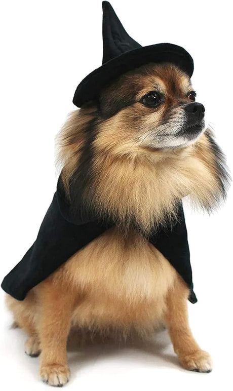 Halloween Witch Cape and Hat Dog Costume (Medium)