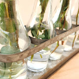 Rustic 5 Glass Bottles Bud Vase Set for Hydroponics Plants Home Garden Wedding Centerpieces Farmhouse Decor