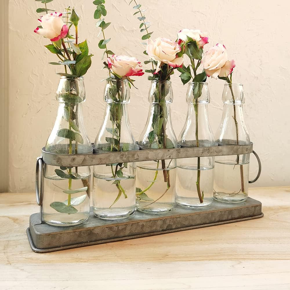 Rustic 5 Glass Bottles Bud Vase Set for Hydroponics Plants Home Garden Wedding Centerpieces Farmhouse Decor